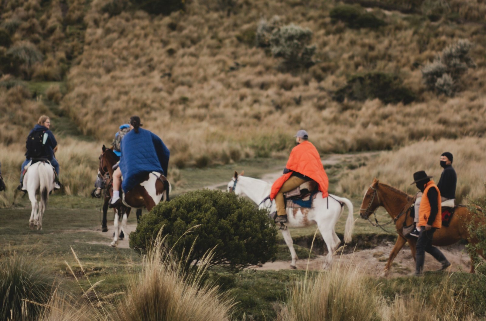 cotopaxi-horseback-from-quito